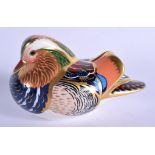 Royal Crown Derby paperweight of Mandarin Duck. 8cm high