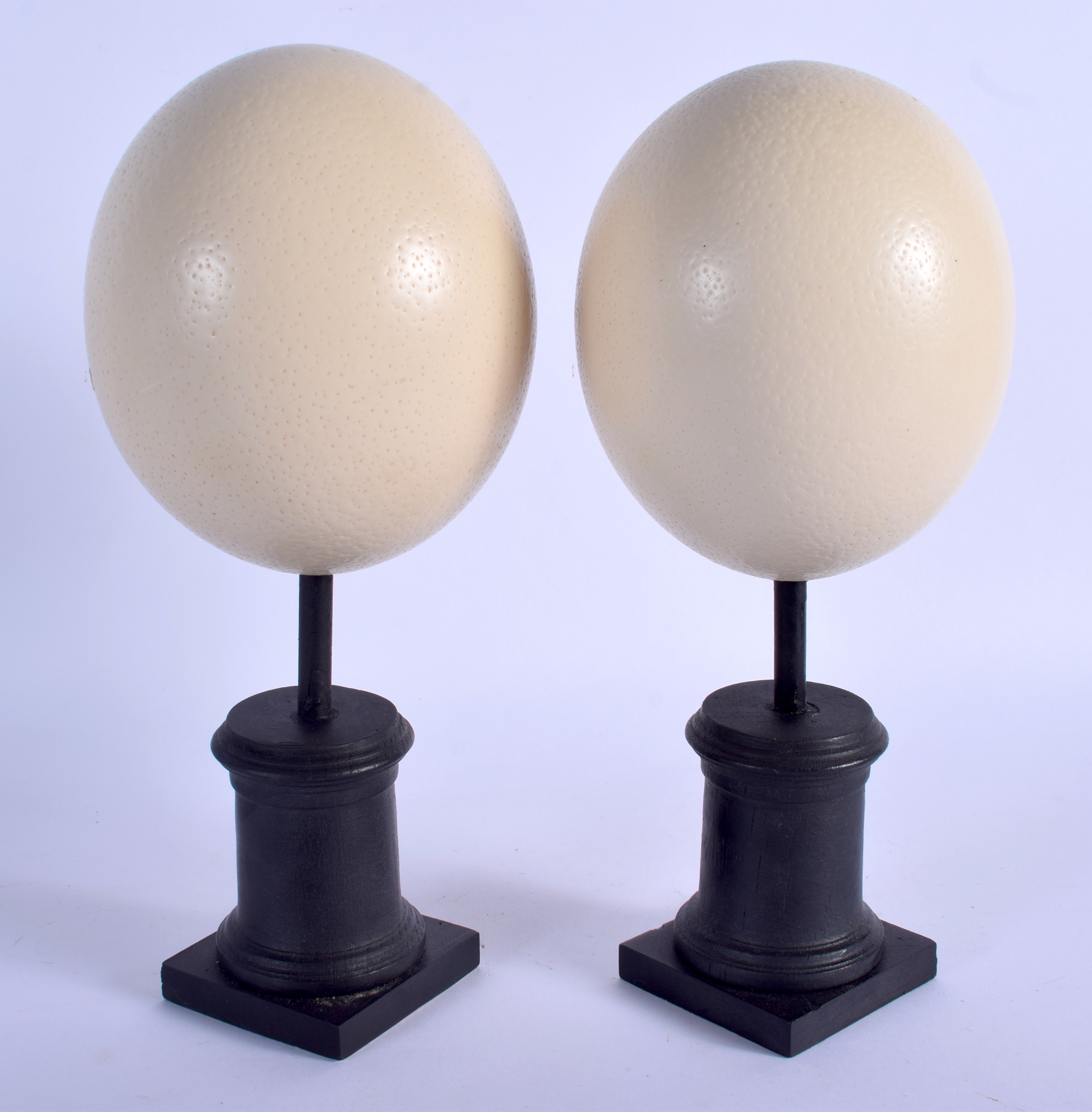 A PAIR OF VINTAGE OSTRICH EGGS. Each egg 14 cm x 9 cm.