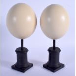 A PAIR OF VINTAGE OSTRICH EGGS. Each egg 14 cm x 9 cm.