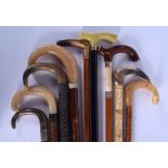 NINE 19TH/20TH CENTURY CONTINENTAL BUFFALO HORN HANDLED WALKING CANES in various forms and sizes. La