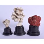 THREE VINTAGE CORAL SPECIMENS. Largest coral 13 cm x 7 cm. (3)