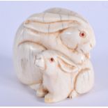 AN EARLY 19TH CENTURY JAPANESE MEIJI PERIOD CARVED IVORY NETSUKE modelled as two hare. 4.5 cm x 3.75