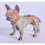 A COLD PAINTED BRONZE DOG. 4 cm x 4 cm.