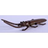 A JAPANESE BRONZE OKIMONO OF A BEETLE. 13 cm long.