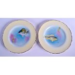 Royal Worcester ichthyological pair of plates painted by Harry Ayrton, sign, with fish, titled verso