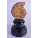 AN AMMONITE ON STAND. Shell 7 cm x 5 cm.
