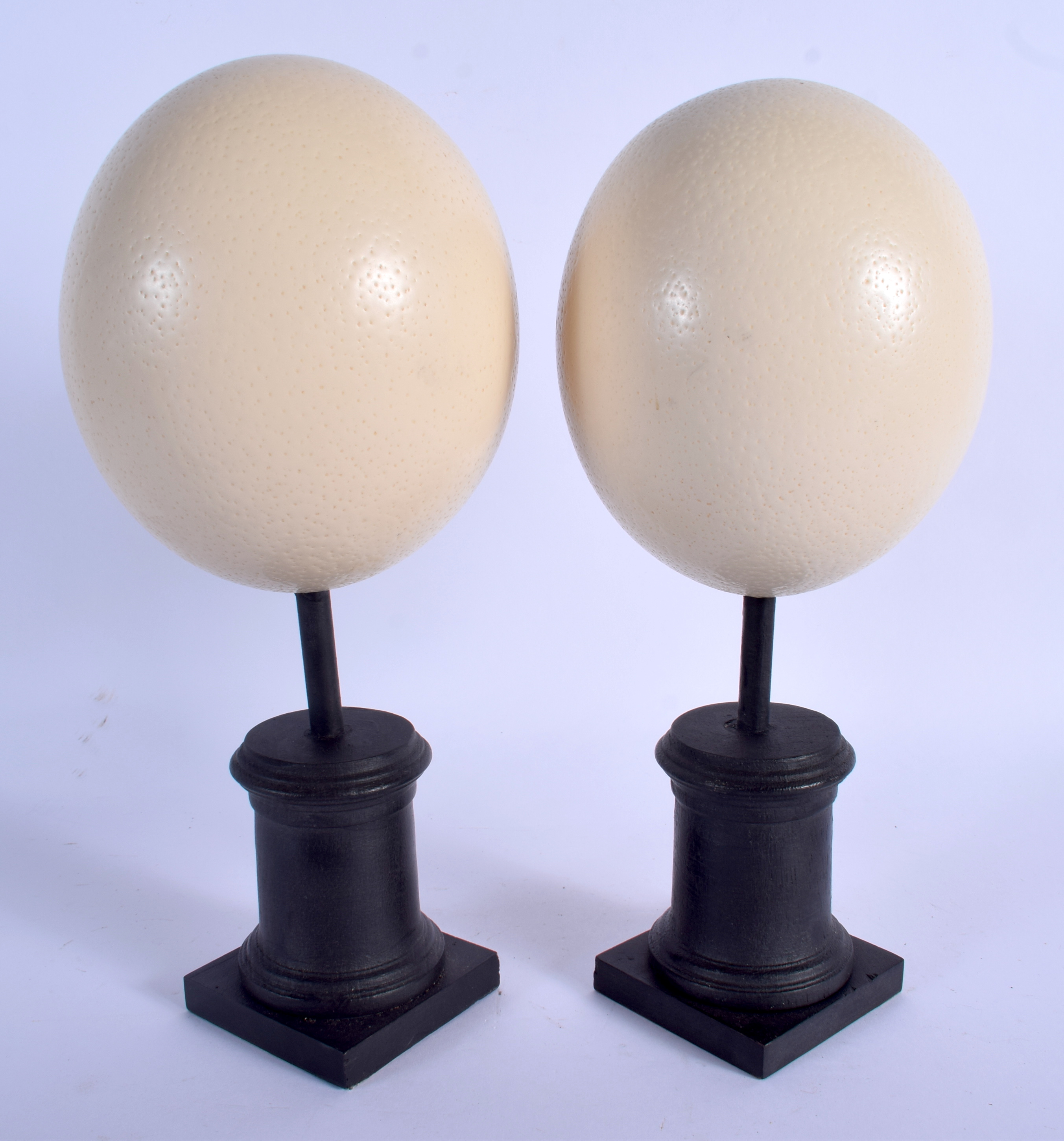 A PAIR OF VINTAGE OSTRICH EGGS. Each egg 14 cm x 9 cm. - Image 2 of 2