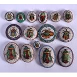 A LOVELY COLLECTION OF 19TH CENTURY ITALIAN MICRO MOSAIC BUG PLAQUES in various forms and sizes. Lar