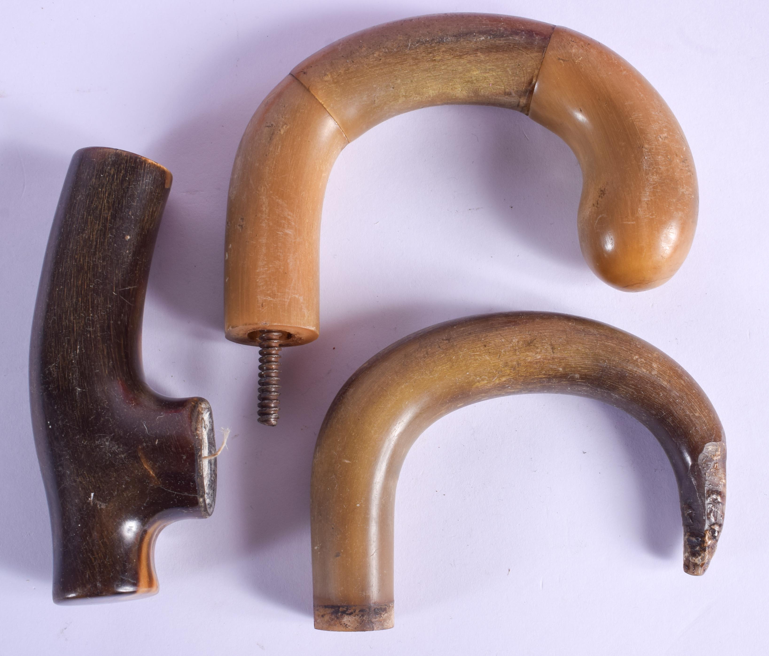 THREE 19TH CENTURY CARVED CONTINENTAL CARVED RHINOCEROS HORN WALKING CANE HANDLES. Largest 11 cm