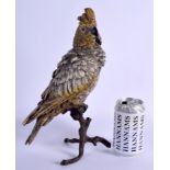 A LARGE CONTEMPORARY COLD PAINTED BRONZE BIRD upon a naturalistic base. 31 cm high.