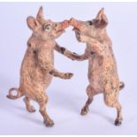 A COLD PAINTED BRONZE OF KISSING PIGS. 6 cm x 3 cm.