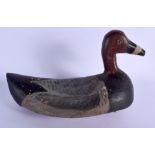 A VINTAGE PAINTED DECOY DUCK. 20 cm x 12 cm.