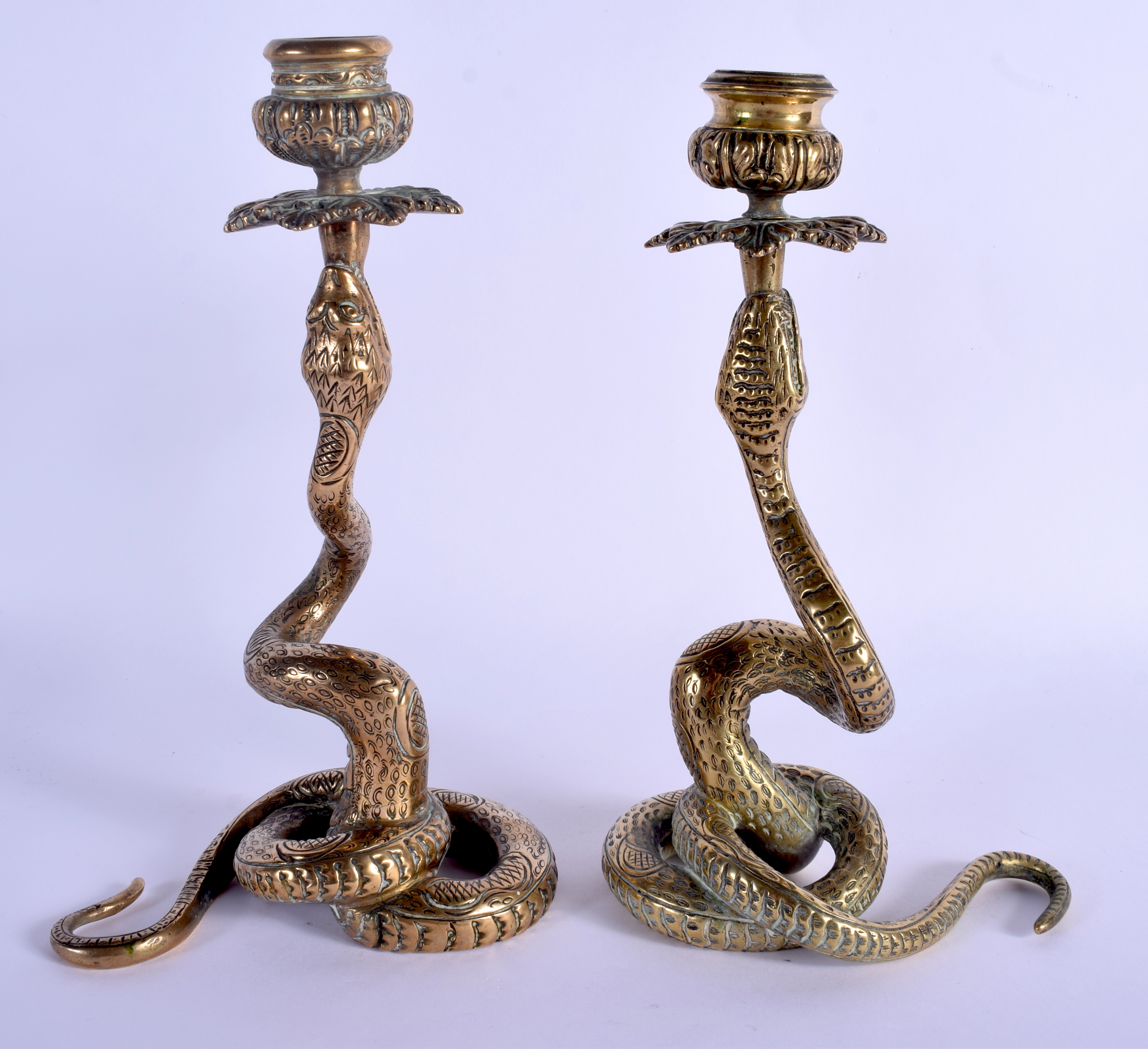 A PAIR OF 19TH CENTURY CONTINENTAL BRONZE SERPENT CANDLESTICKS possibly Indian. 23.5 cm high.