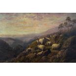 ROBERT WATSON (1865-1916), Sheep on a Highland Crag at Sunset, oil on canvas, signed and dated 1911,