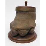 A TAXIDERMY HIPPOPOTAMUS FOOT, early 20th century, mounted as a box with an oak plinth, turned lid