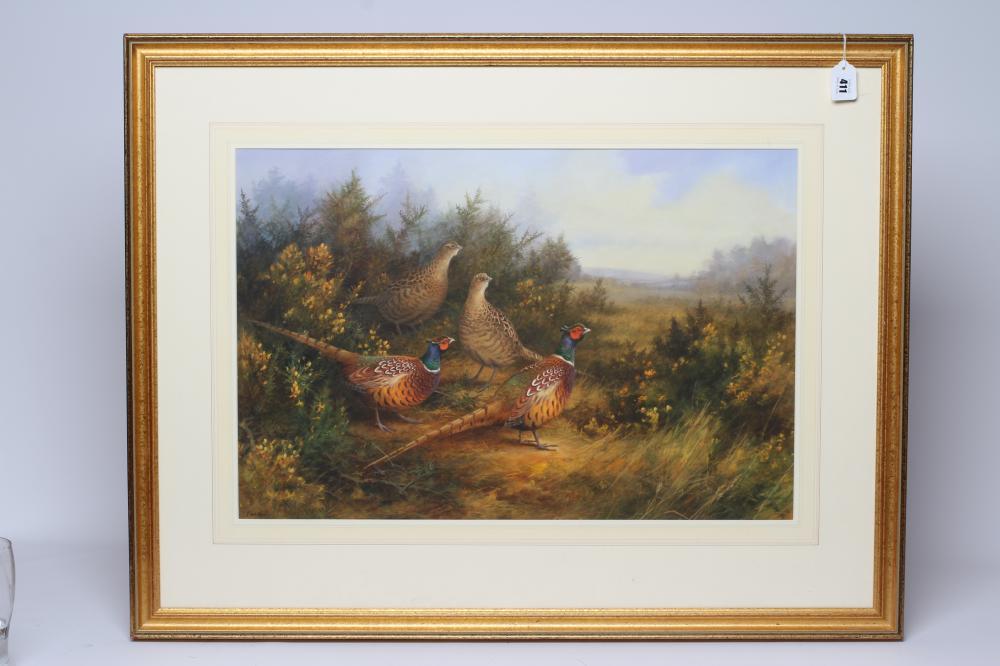 NEIL COX (b.1955), "Pheasants by the Gorse", watercolour and pencil heightened with white, signed,