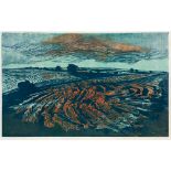 GERTRUDE HERMES (1901-1973), Burning Stubble, linocut in colours, limited edition 28/50, signed in