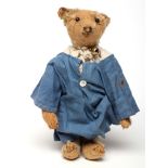 A Steiff teddy, c.1910, with shoe button eyes, ear button, felt pads, knitted vest, blue dress and