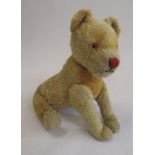 A Steiff lion, with amber glass eyes, jointed limbs, button to ear and red sewn nose, 12" long (Est.