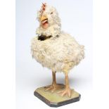 A clockwork chicken automaton, papier mache body with feather covering, wooden head with clockwork
