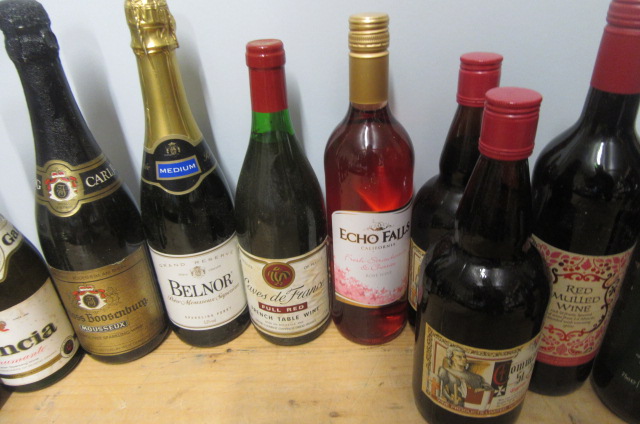 18 bottles of European and New World wine, including 1 bottle Belnor Grand Reserve Sparkling - Image 3 of 4