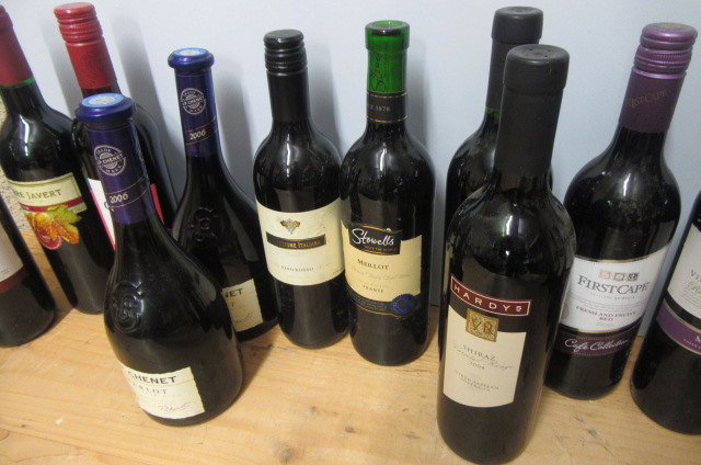 16 various wines, including 2 bottles 2008 Hardy's Varietal Range Shiraz, 2 bottles 2006 J. P. - Image 2 of 4
