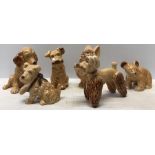 Six various Sylvac animals, 4 dogs including poodle and dog with paw in a sling, bear and rabbit,
