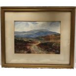 Gilt framed watercolour, unsigned. Country moorland scene.