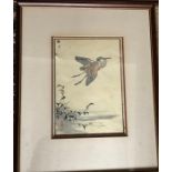 Five Japanese woodblock prints of birds. Largest 21 x 31cms. Pictures are painted by Kono Bairei, he