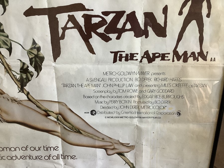 Framed film poster, TARZAN THE APEMAN, Bo Derek, Richard Harris, Metro Goldwyn Mayer 1981. 75 h x - Image 2 of 3