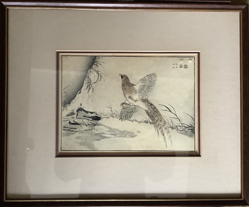 Five Japanese woodblock prints of birds. Largest 21 x 31cms. Pictures are painted by Kono Bairei, he - Image 3 of 5