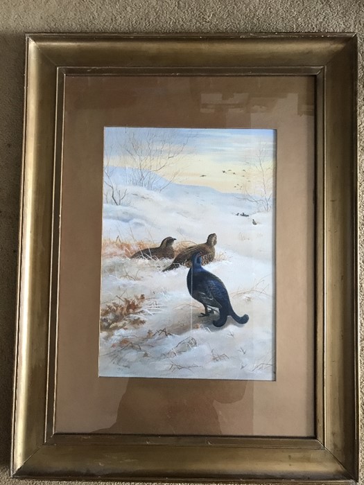 Archibald Thorburn, 1860-1935, Black Grouse in a Winter Landscape, signed and dated L.L 1919, - Image 4 of 10