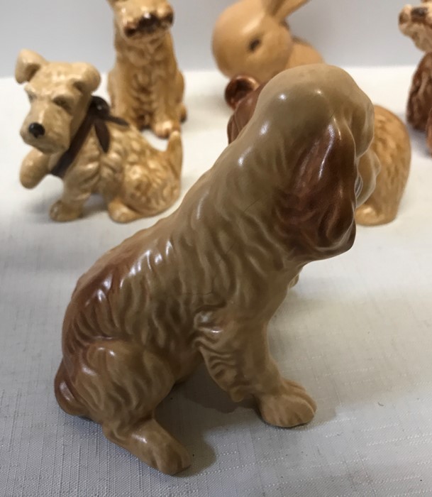 Six various Sylvac animals, 4 dogs including poodle and dog with paw in a sling, bear and rabbit, - Image 3 of 5