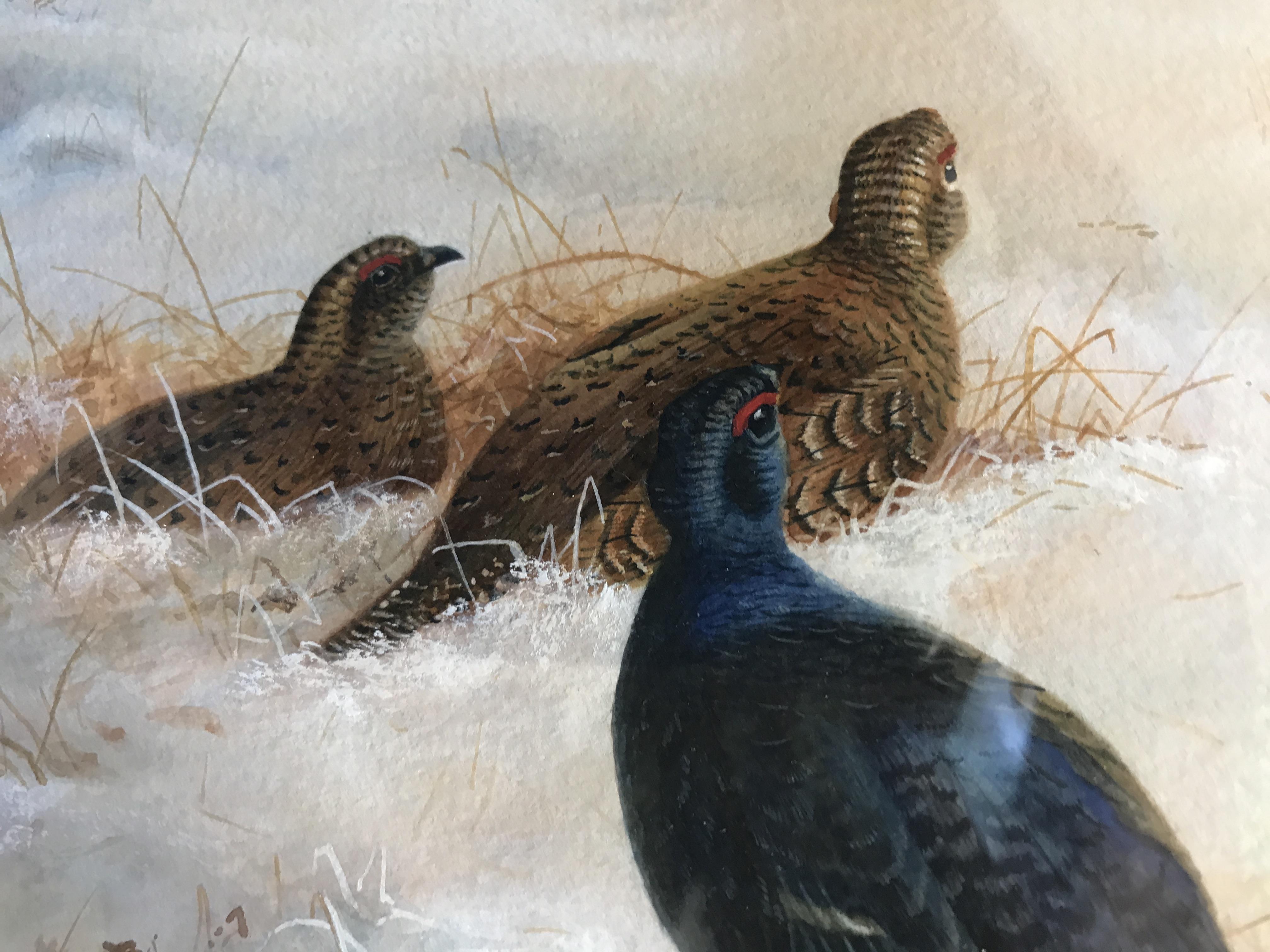 Archibald Thorburn, 1860-1935, Black Grouse in a Winter Landscape, signed and dated L.L 1919, - Image 6 of 10