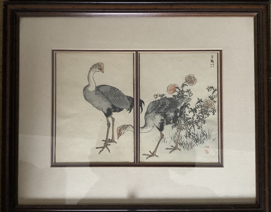 Five Japanese woodblock prints of birds. Largest 21 x 31cms. Pictures are painted by Kono Bairei, he - Image 4 of 5