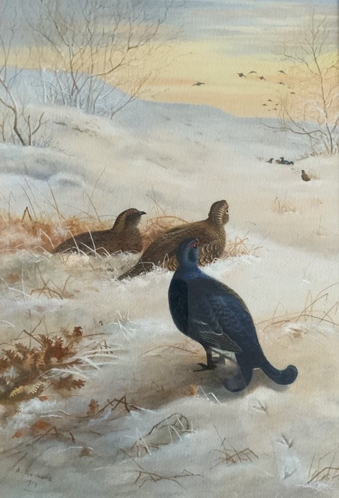 Archibald Thorburn, 1860-1935, Black Grouse in a Winter Landscape, signed and dated L.L 1919,