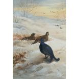 Archibald Thorburn, 1860-1935, Black Grouse in a Winter Landscape, signed and dated L.L 1919,