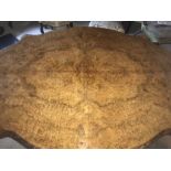 A burr walnut tilt top looe table, on original ceramic castors, slight a/f to edge. 151 w x 111 w