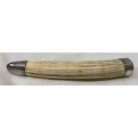 Silver mounted tusk with engraved initialled to one end, Birmingham 1904-5, maker L.P and A.