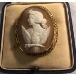 A 9ct gold mounted shell cameo brooch. 4 x 3.5cms. Condition ReportCrack to shell.