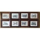 8 Prints of the Equine winners of the major racing events in their original wooden frames. Each 18cm