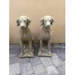 A PAIR OF STONE GARDEN ORNAMENTS IN THE FORM OF POINTER DOGS, 72cm high approx