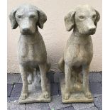 A PAIR OF STONE GARDEN ORNAMENTS IN THE FORM OF TWO SEATED HOUNDS 72cm high approx