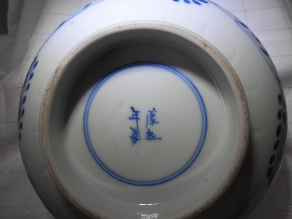 A CHINESE 18TH CENTURY BLUE & WHITE FISHES BOWL, with four character mark to the base - Image 6 of 6