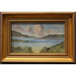 MAGUIRE, "ON THE ROSSES, DONEGAL, SUMMER'S DAY", oil on board, signed lower right, 10" x 5.5" approx