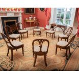 A SET OF EIGHT WILLIAM IV ROSEWOOD DINING CHAIRS, having carved Prince of Wales feather back and