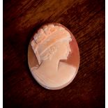 A FINE CAMEO BROOCH/PENDANT, 1.5 inches tall