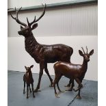 A VERY GOOD QUALITY LIFE SIZE HEAVY BRONZZE GROUP OF ANIMALS, including: A Stag, a Roe Buck Deer and