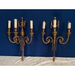 A PAIR OF 3 BRANCH GILT BRONZE WALL SCONCE / LIGHTS, 52cm tall approx.