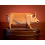 A COLLECTION OF 11 PORCELAIN PIGS TO INCLUDE A PAIR OF ROYAL DOLTON BROWN AND BLACK PORCELAIN
